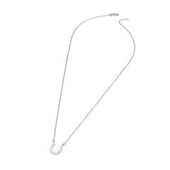 Lucky Gleam Horseshoe Necklace